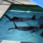 TourdSoCal_1_0062 (September 11, 2015)